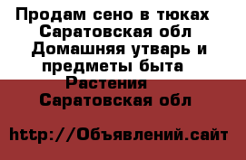 Продам сено в тюках - Саратовская обл. Домашняя утварь и предметы быта » Растения   . Саратовская обл.